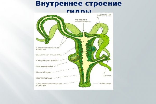 Кракен зеркало gigageek ru