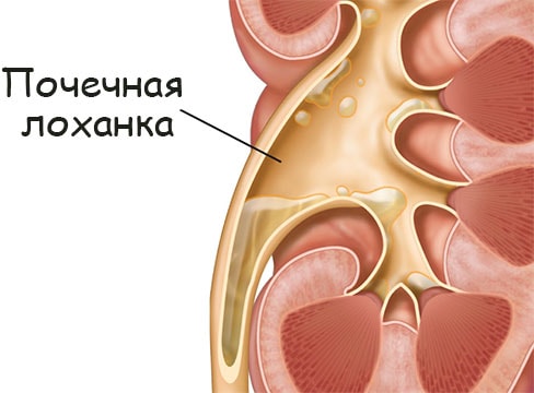 Кракен короткая ссылка